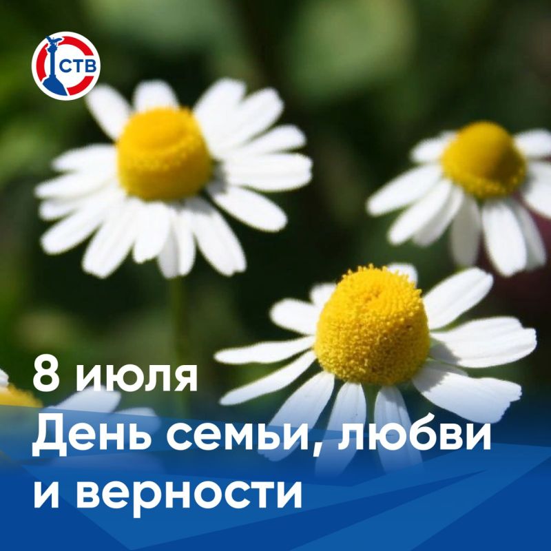 � ���� �����, ����� � ��������!