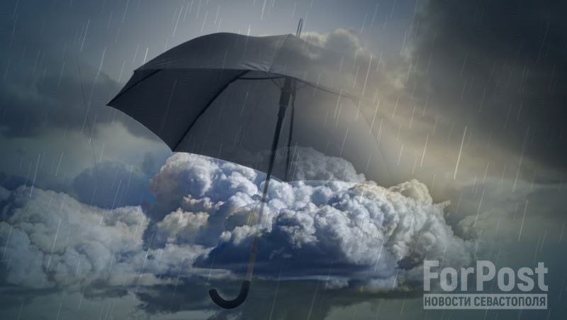 � ����� ���� ������� ����� ����� � ��������