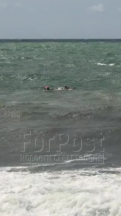 � ����������� ���-������ ���� �������� ��������