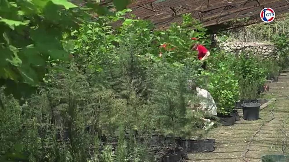 �������������� �������� �������� ������, ��������� � ����������� � 2021 ���� �� ���������� ������� ����������, �����������