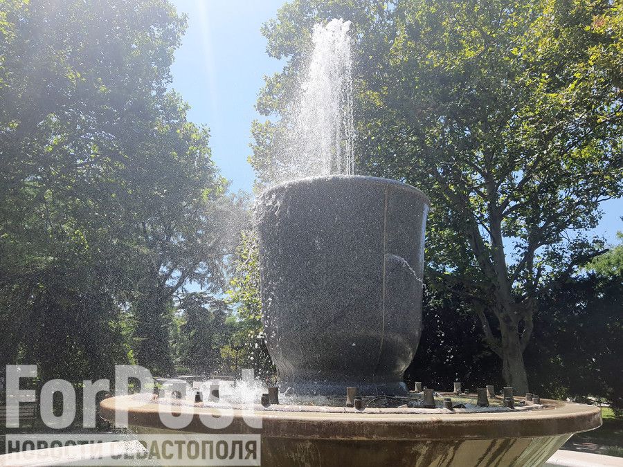 � ����������� �������� ���� ��������� �������
