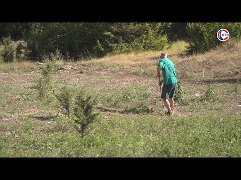 �� ����������� ������� �� ����� ���� �������� ������������� ����������