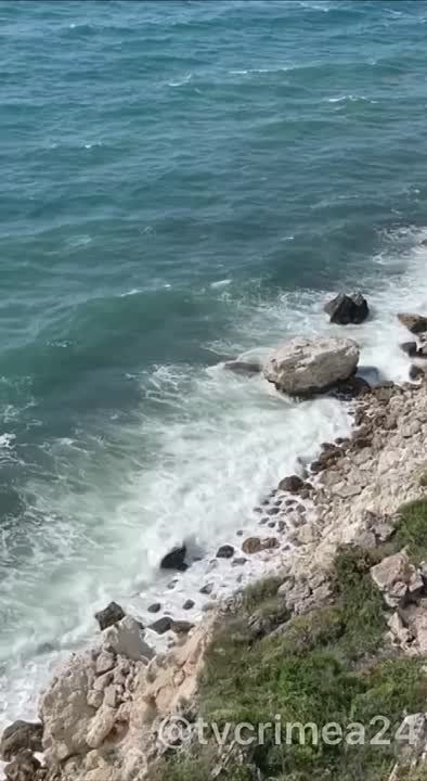 ���� �� ��� ���������� �� 25 ��������, � � ����������� � �� +24