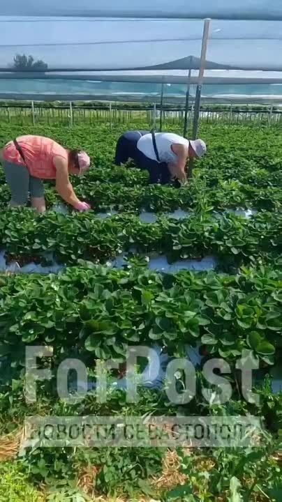 � ����� ��������� ���� �������� �����