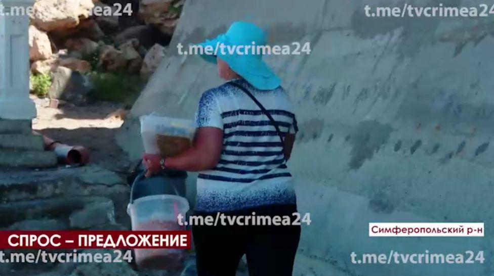 ����� ������� �������� �� �������� ������ �� �������� ��������� ����������� ��������