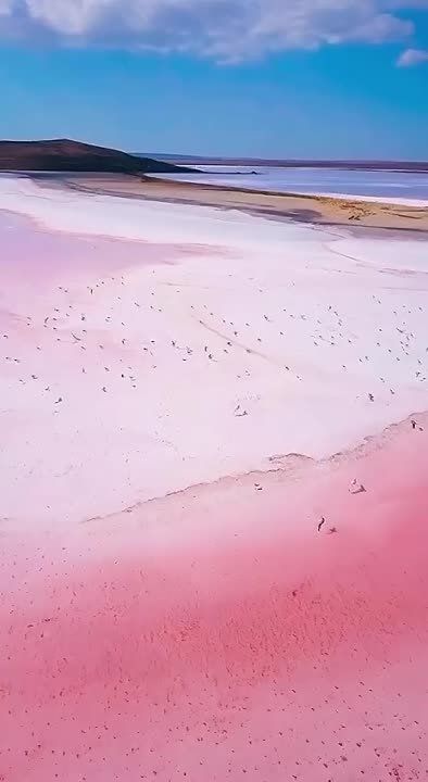 ��������� ������ ����������� ����� �� ������� ������ � �����!
