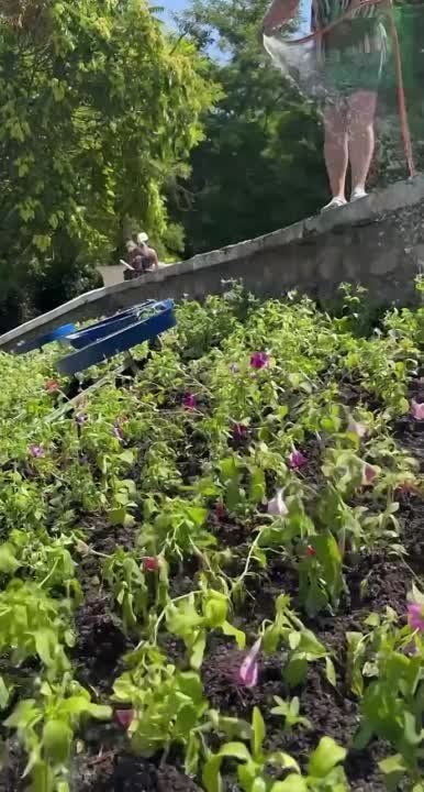 �������� � ������� ���������� �� ����������