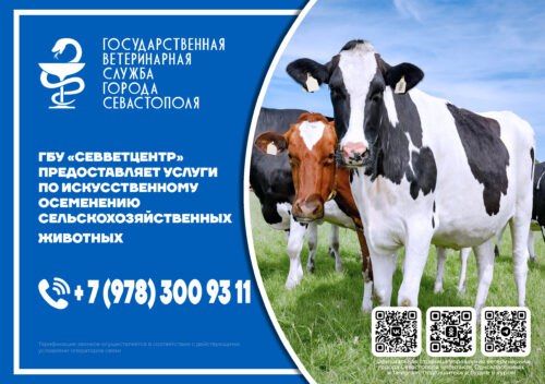 ���������� ����������� ������ ����������� ��������, ��� � 1 ���� 2023 ��� ���������������� ������������ ����� ��������� ������ �� �������������� ���������� �����