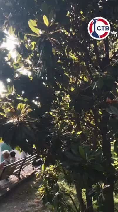 ��������, ��� ������������ ����� ������ ������������ ����� � ����� ����������� ������� ������ �� ���������� ��������