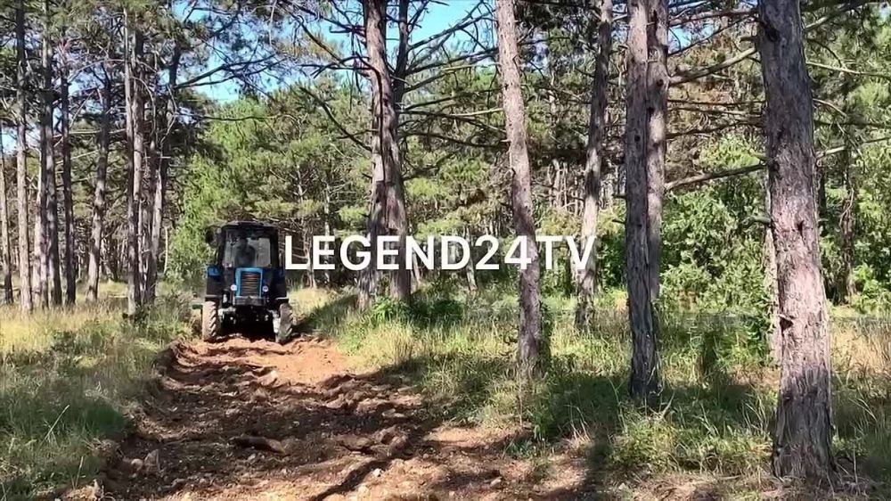 � ��������������� ������������ ��������� ���������������� ������