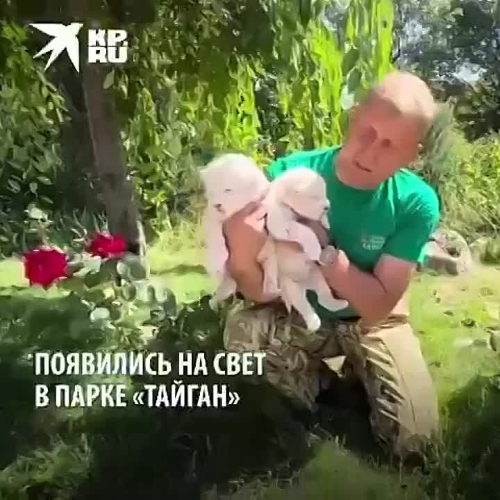������....� ����� ������" �������� ������ ����� ������