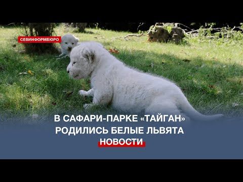 ������ ����� ������ �������� � ������-����� �������� � �����
