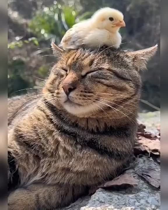#���������. ������ ��������� ����, ������! ���� ��� ��� ����� �� ������� � ������ ���������� � ����� �� ����� ����� �����. �� ������� �������� ���������� � ����� ������
