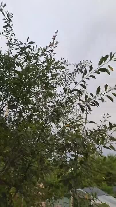 ��� ������������ ��� � �� ��������� �����, �� ����������� ��� ����� �������� ������!
