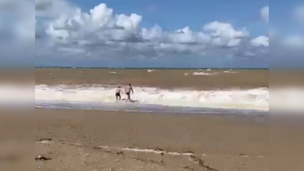 ������� ���������: � ����������� ���� ������ ���� �� �������, ����� ���������� � �����