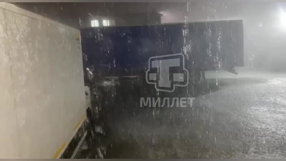�� ��� ���� � ����������� ������ ����� �������� ����� ������� � 29 ��, ������� ���������� ������ ������ ���������