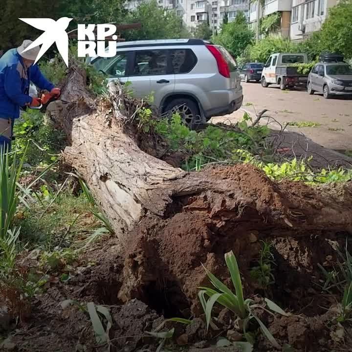 ������� ��������: ����� ����������� 27 ���� ������������ � ������ ����