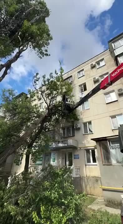 ������� ������: ���������� ������� � ������� ���������� ������ �� ���������� ����������� ��������