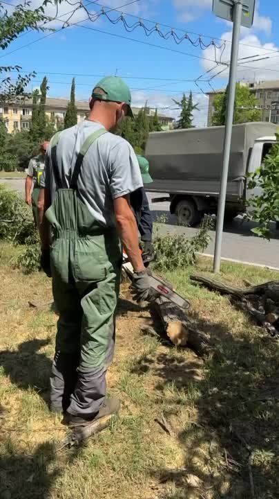 ������� ������: ��������� ������ ������ ���������� ��������� ����������� ��������