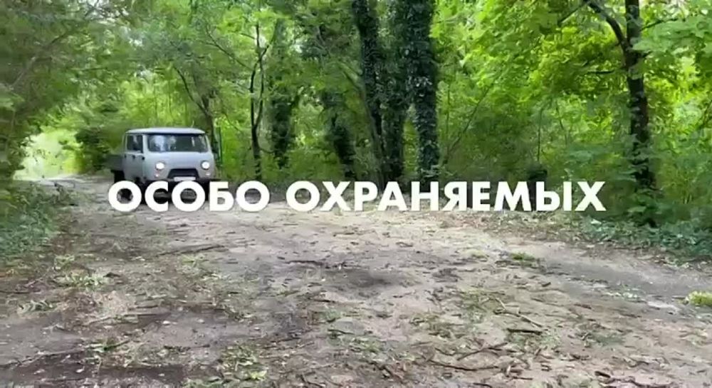 ����������� �������� �� ���������� ����