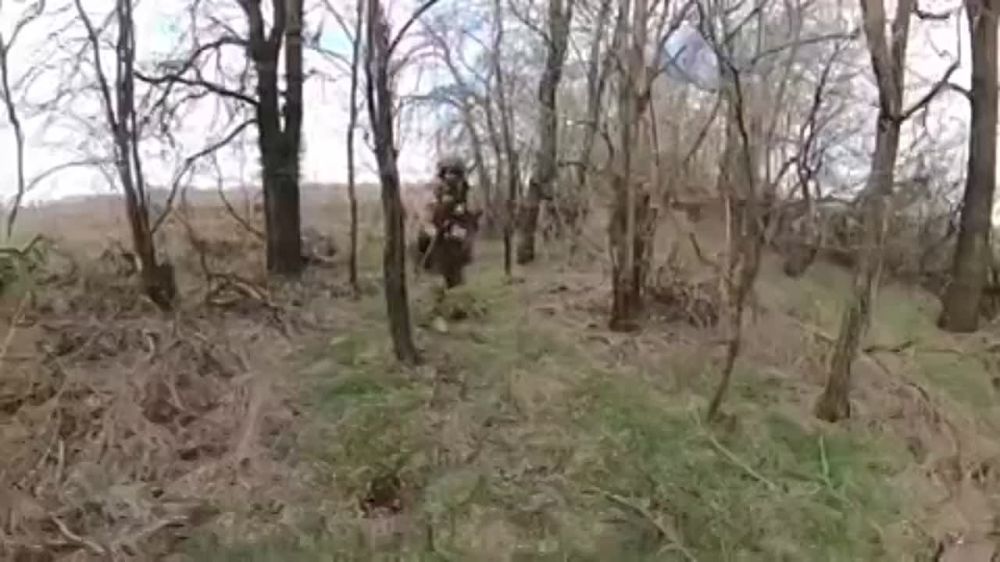 ���������� ������ ������������ ����������������� �� ��� ���. ������-������� ���� � ��� ��������, �����, �����, ������������ ������� �����, �������� ������ ������������ ��������� ����� ������