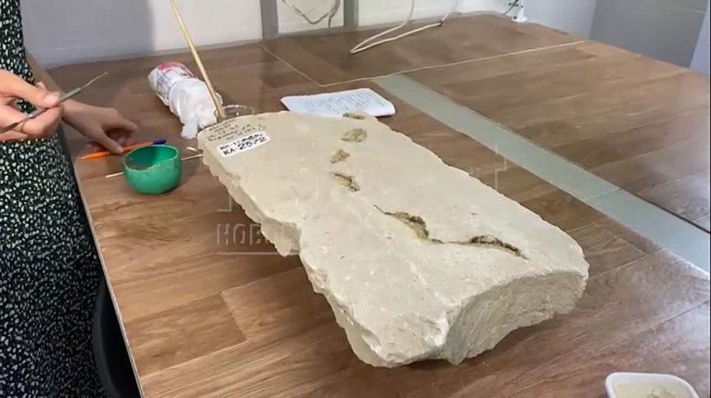 ��������� ���� ����� ������������ �� ������ ���������� ����������� �����������, �� � ������������ �� ����������� ���������� �������
