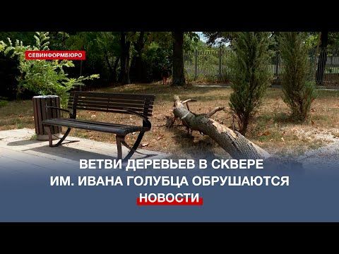 � ���� �� ��������: ����� �������� � ������ ��. ����� ������� ����������