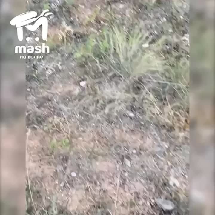 ����� ��� ������������ �� ���������