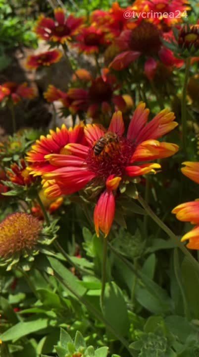 ������� ������ � ����� �� 1 �������: