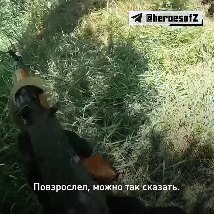 ���-�������� ������� ������ ������ ������ �� ������� � ���� �� ���