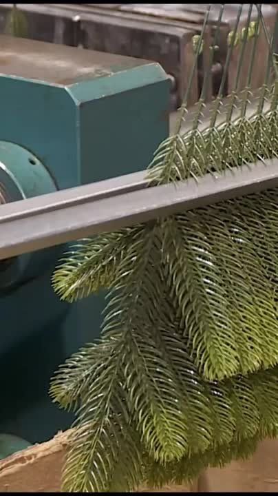 � ������ ��������� ������� �� ������� ���������������� ����������� �� ������������ ���� ��� "���� ��������"
