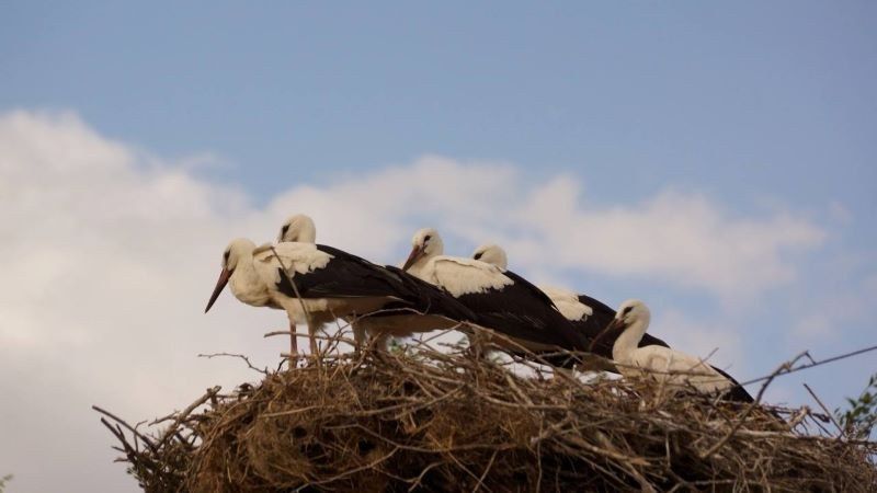 � ����� �� ��������� ��� ��������� ����� ������