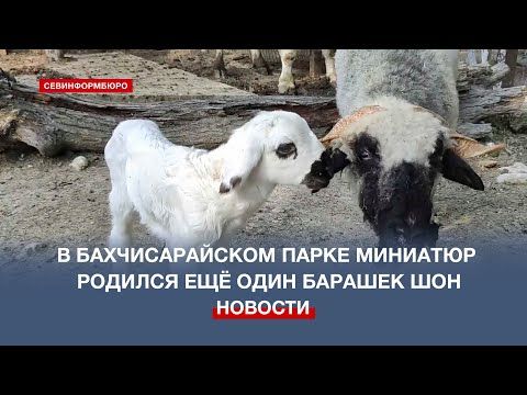 ������ ������� ���������� ������ ������� � �������������� ����� ��������