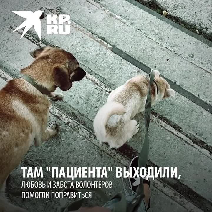 ������ ����� ������ � ����� ����� ���