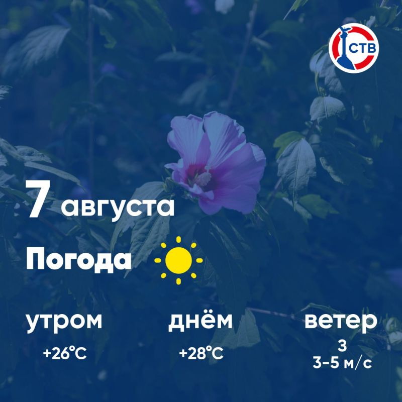 ������ ����, �������������! �������, 7 �������, � ������ ����, ��� �������