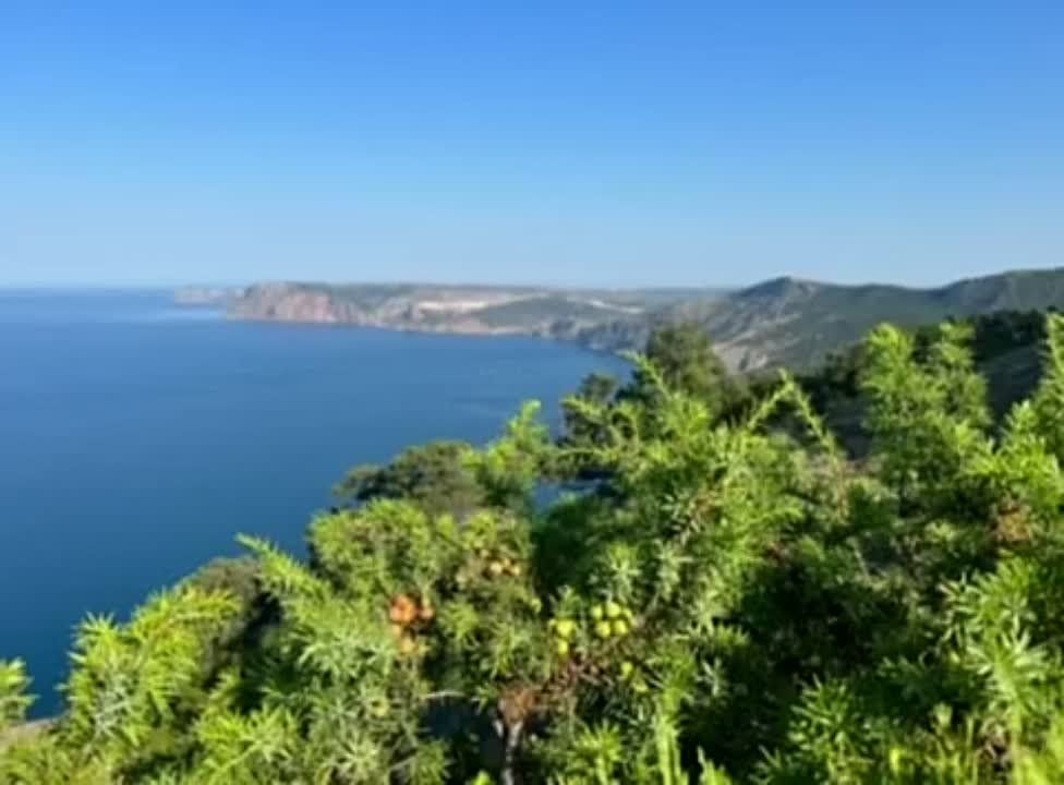 �������� ������� ��� ������� ���������