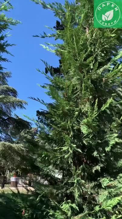 �� ���� ����������� ��� ������ � ������� ���������� ���������� �������� ������: