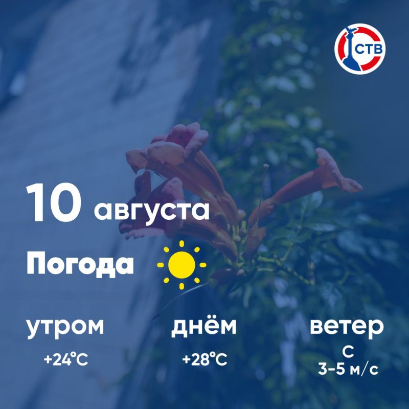 ������ ����, �������������! �������, 10 �������, ����� � ������ ����