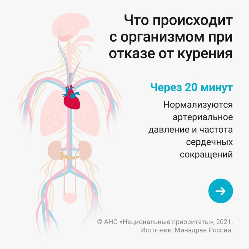 � �� �����, ��� ������� ��� �� ����������� ���� ��������� ��������� �� ��������� ������ ����� 12 �����?