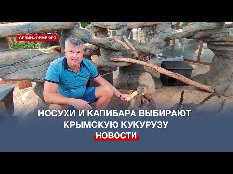 � �������������� ����� �������� ������ ��������� �������� ��������� �������