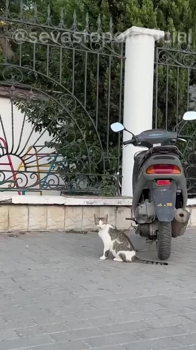 ��� �� ����� ������������ ������? ��� �������� ����, �������� ��� ������ ���������� �������� �� ���������� - ������ �����! ������� � ���� ���� ����� ��� �������� ������