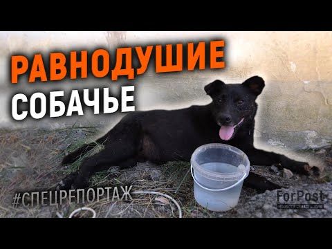 � ����������� ������� ��� ������ �� ������ � ������