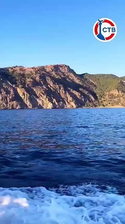 ������ ������� �����, �� ��� ��?. � ����� ���� �� ������� �������� ������������ ��� �����������: � �������� ���� ������� ���� �� ���������; � ��������� ������ ������� � ��������; � � ������� �� ��� ������� �� ����, �������������, ����� ������� �����������