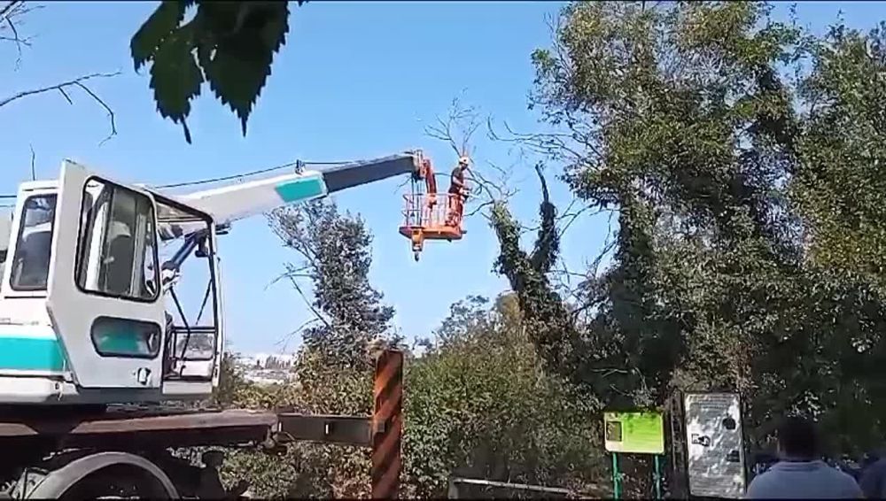 �� ���������� ���� � ����������� �������� �������� ������ �� ��������������� ����������