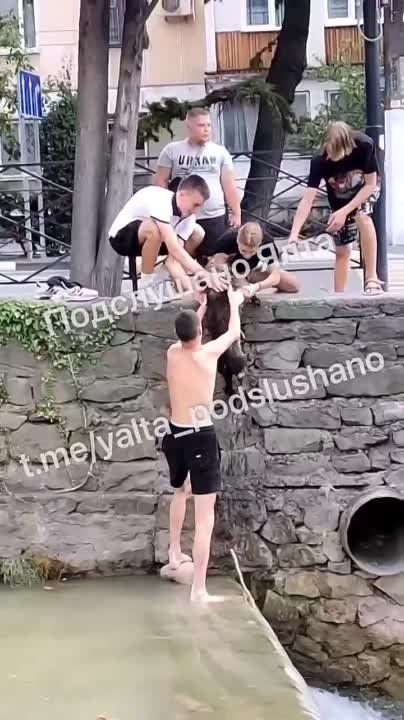 � ���� ��������� ������ ��� � �� ���� � ���� ������� � �� ���� ��������� ��������������