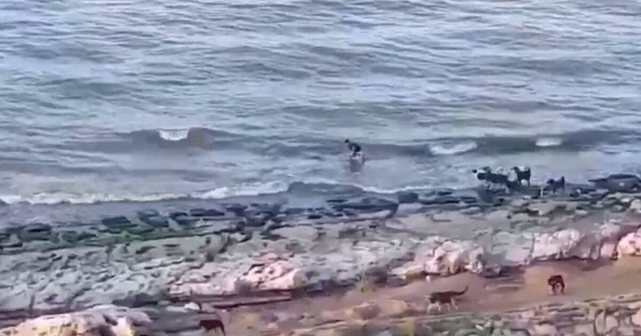 ���� �������� ����� ������ �� ������ � ������� ��� � ����