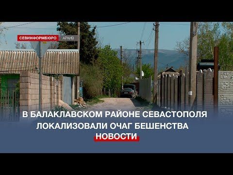 � ������������ ������ ����������� ������������ ���� ���������