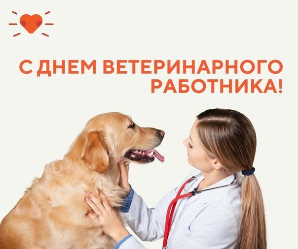 ������� �����: ��������� ��������� � �������� ������������ ������