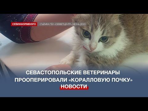 ������ ��������: ��������������� ���������� �������������� ����������� �����