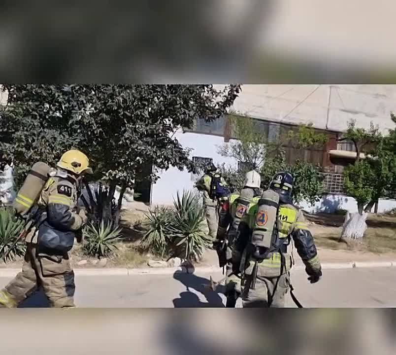 �� ��� ������ �� �. ����������� ������� �������-����������� ������ �� ����� �� ������� ��������� ���� ���������������